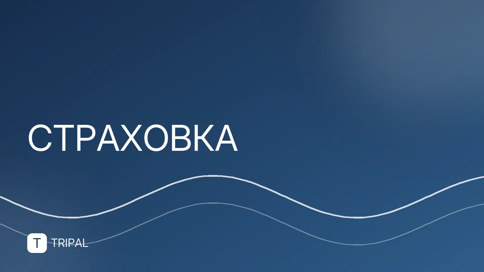 Страховка Renaissance: условия, покрытие и стоимость