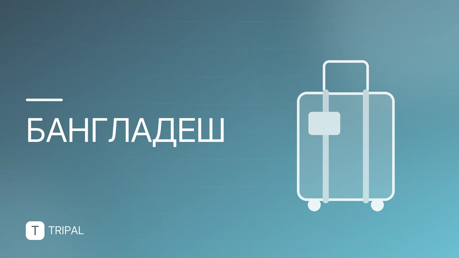 Страховой полис для Бангладеш: требования и где купить
