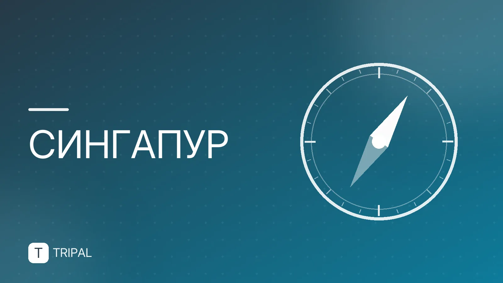 Требования для въезда в Сингапур: виза, документы и правила