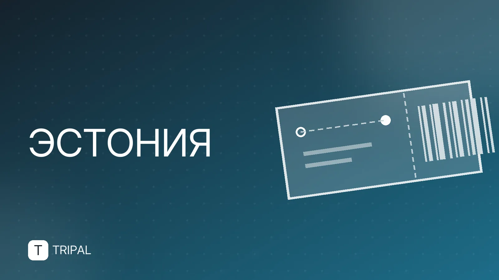 Валюта Эстонии: евро и особенности оплаты