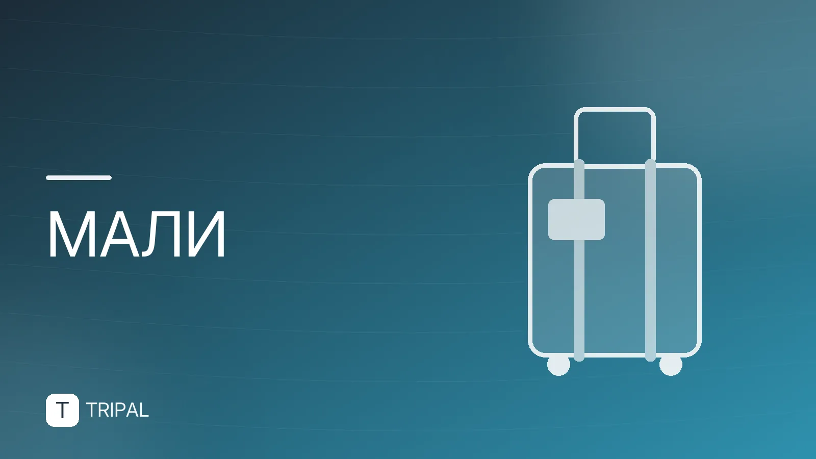 Животные Мали: кто обитает в стране и где их увидеть