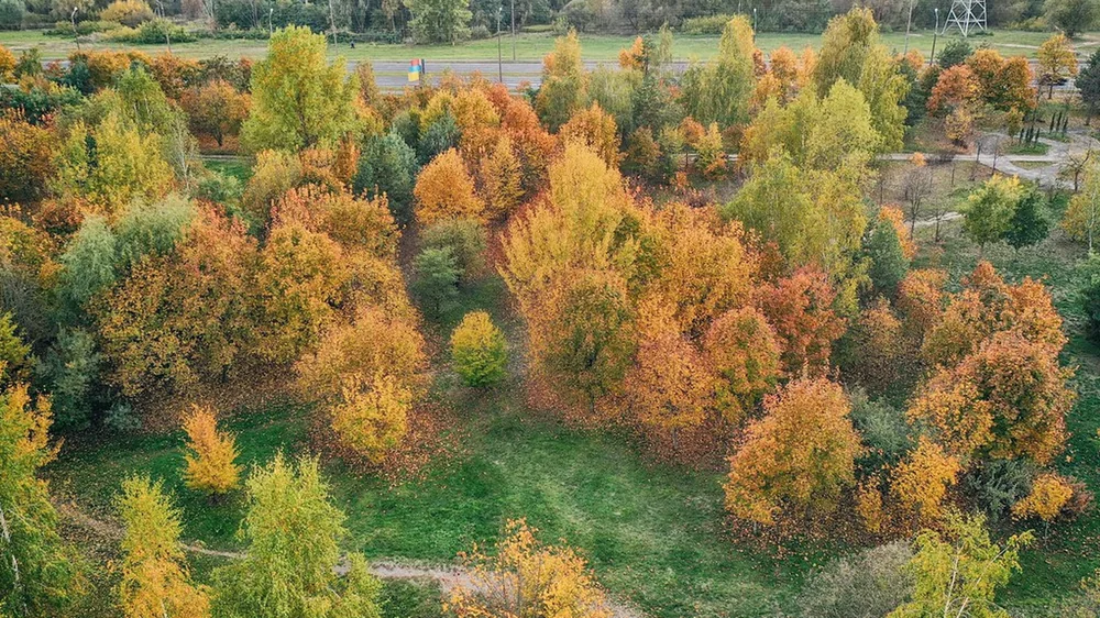 Логистика до Дворцово-паркового ансамбля