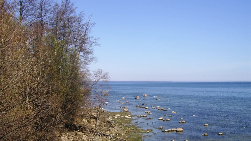 Где искать море рядом с Таллином: Пярну и Сааремаа
