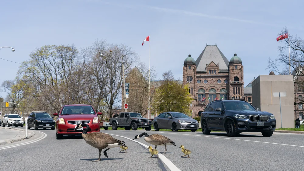 CN Tower и набережная Queens Quay: отдых между сеансами