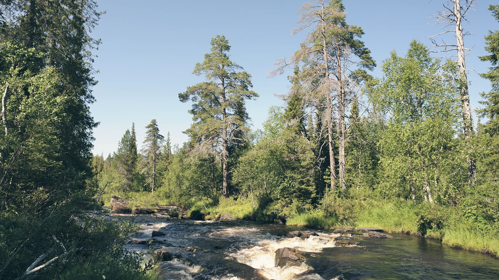 Где купить сувениры в Мурманске: лучшие магазины