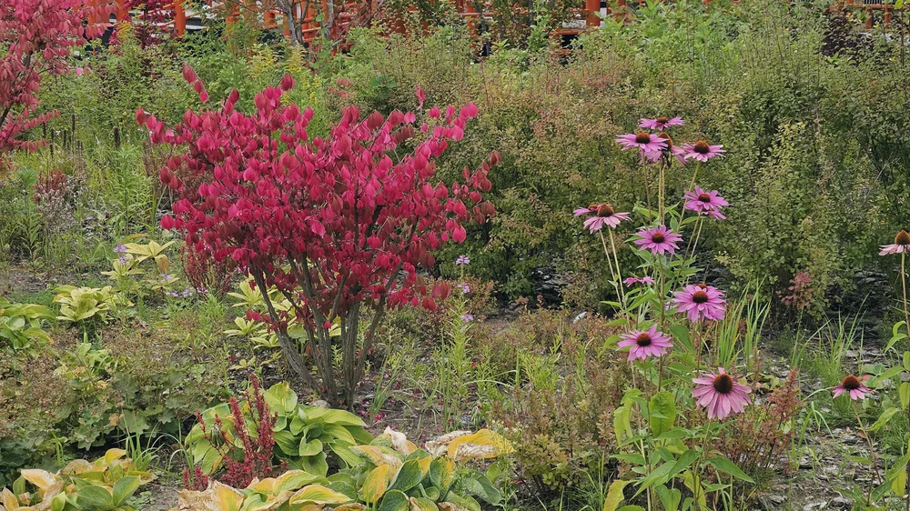 Как выбрать безопасный район для ночлега без экскурсовода