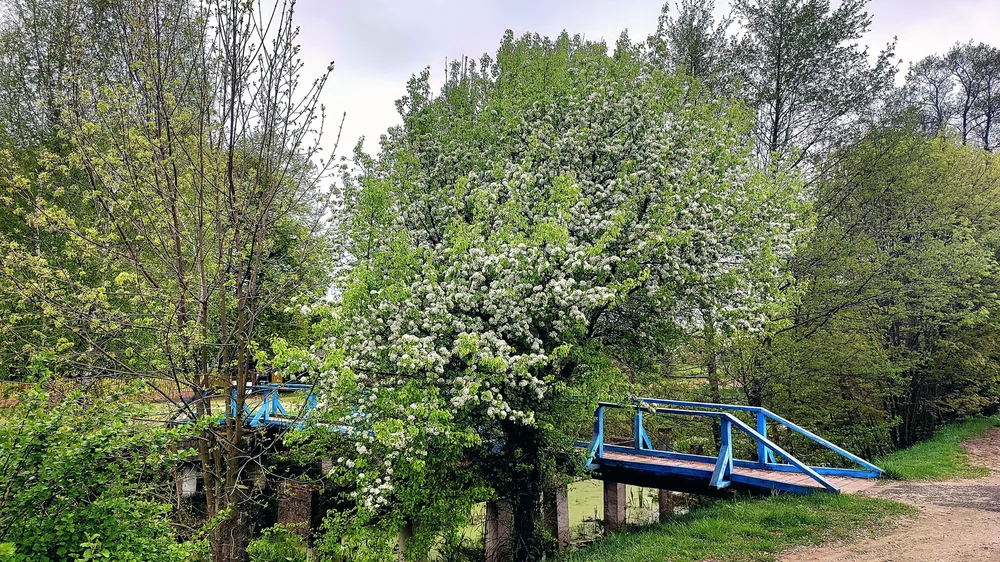 Что взять в багаж под июльскую погоду